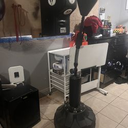 Punching Cobra Bag