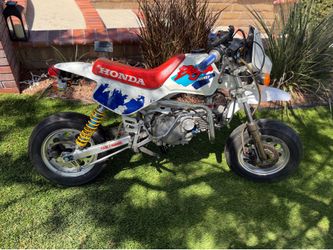 1992 Honda Baja monkey
