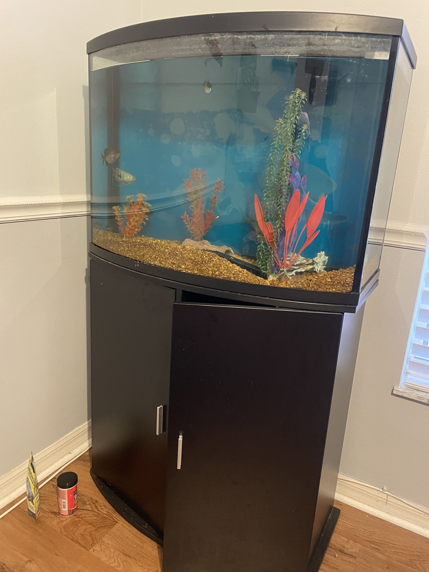 36 Gallon Aquarium