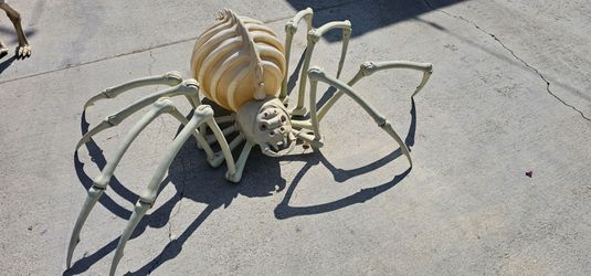 Large Skeleton Halloween Decoration