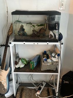 10 gallon fish tank setup and stand