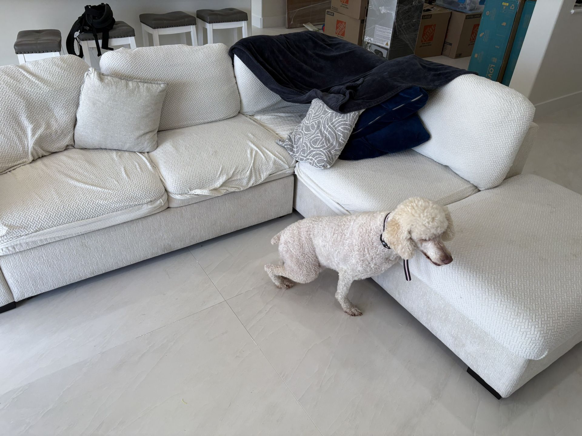 Free Couch