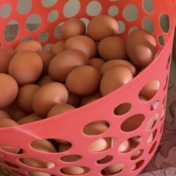 Fresh Farm Eggs / Huevos