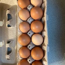 Farm Fresh Eggs -$5.00