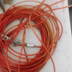 Dog Cable.