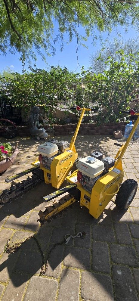 Trencher Groung Hog