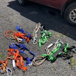 Safety Harness
