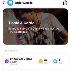 Tiesto Birds Nest (1)