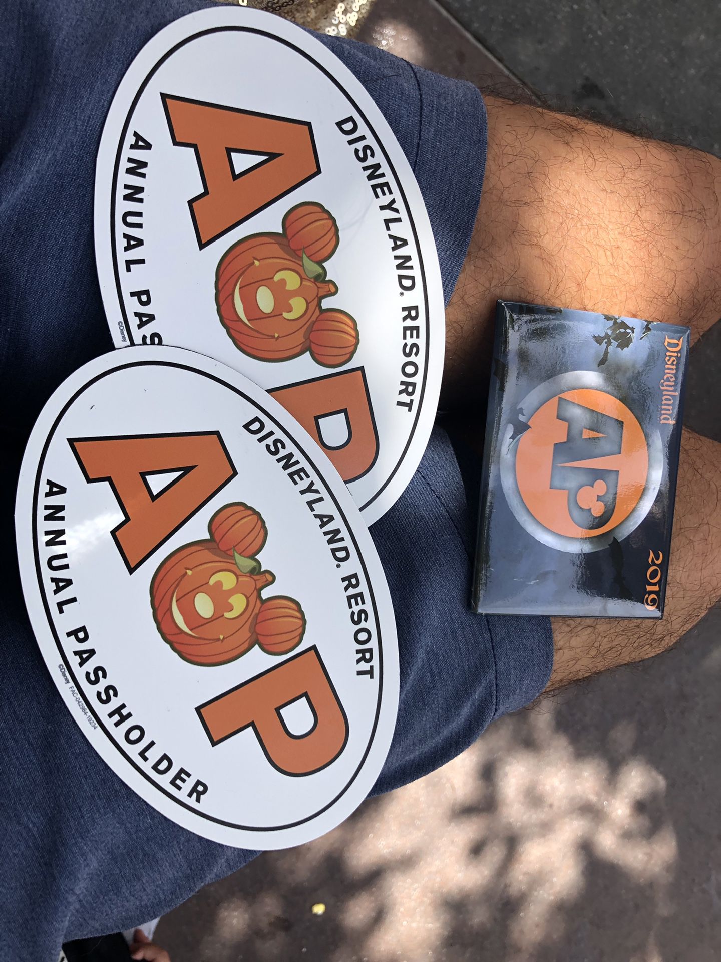 First time limited edition Disney pumpkin AP magnets and pins