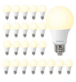 Soft White Bulbs