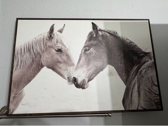 2 Horse frames