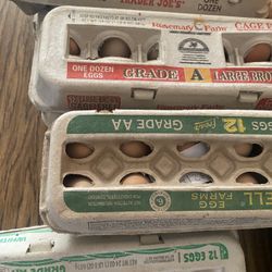Fresh Eggs 