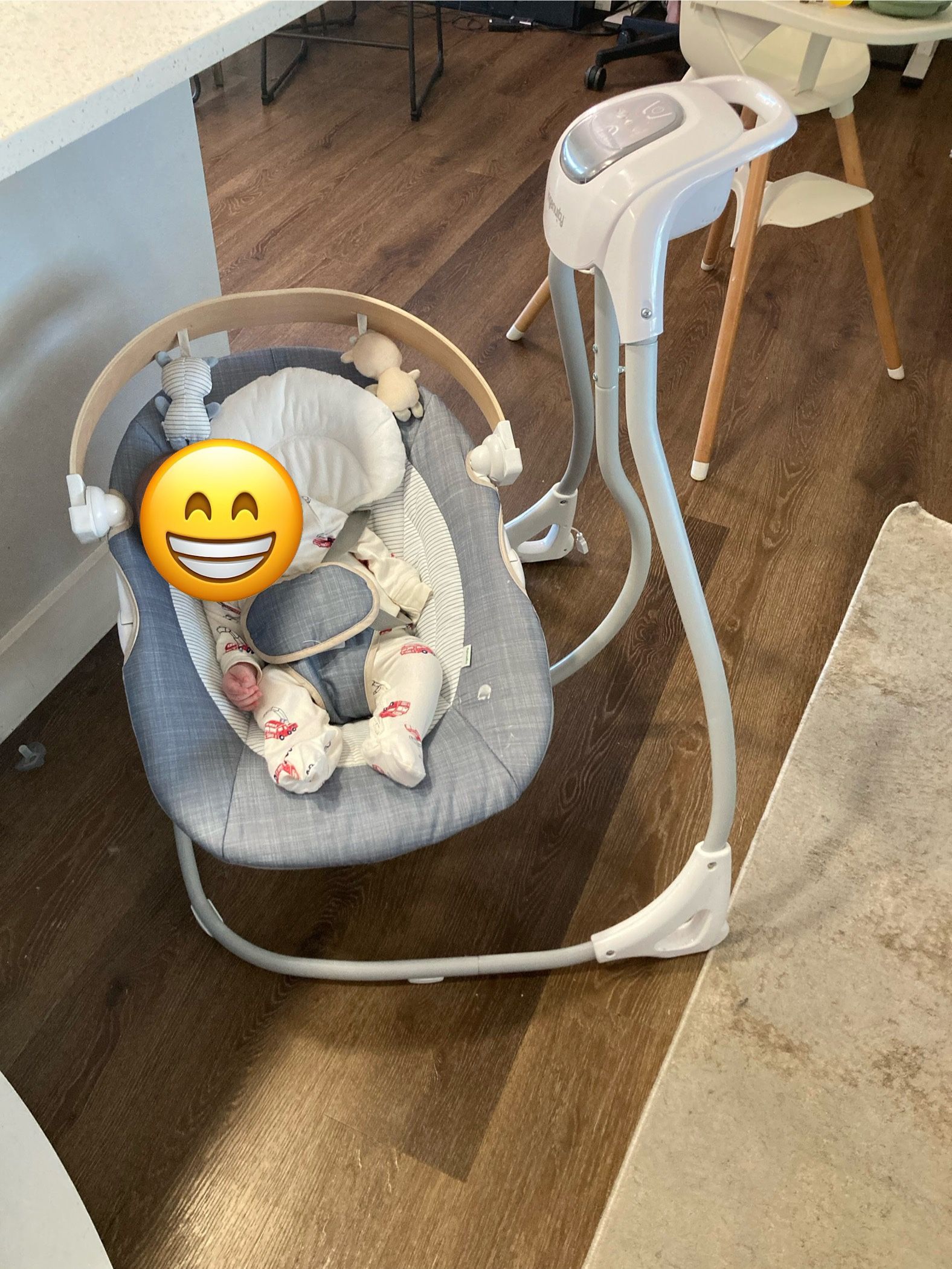 Ingenuity Baby Swing