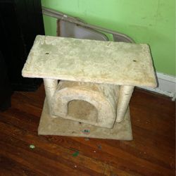 For Cats 