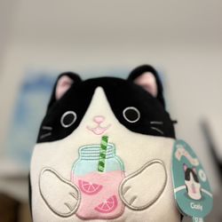 Squishmllow (Cicely)