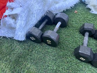 10 lbs dumbbell weight set
