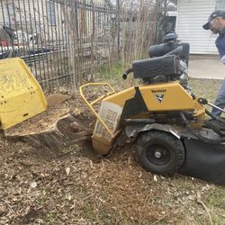 STUMP GRINDING
