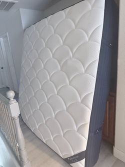DreamCloud Mattress only