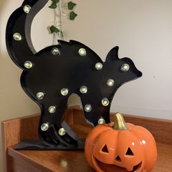 Halloween Cat and Pumpkin Decor
