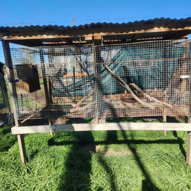 Big Cages, Animal Enclosure, Chicken Coops Small Animal 