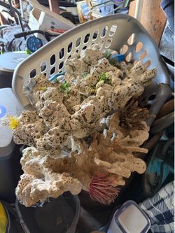 Aquarium decor