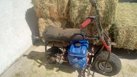 212cc predator engine Mini bike roller doodle bug mini bike