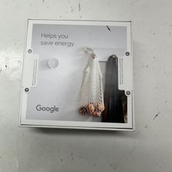 Google Nest #45283