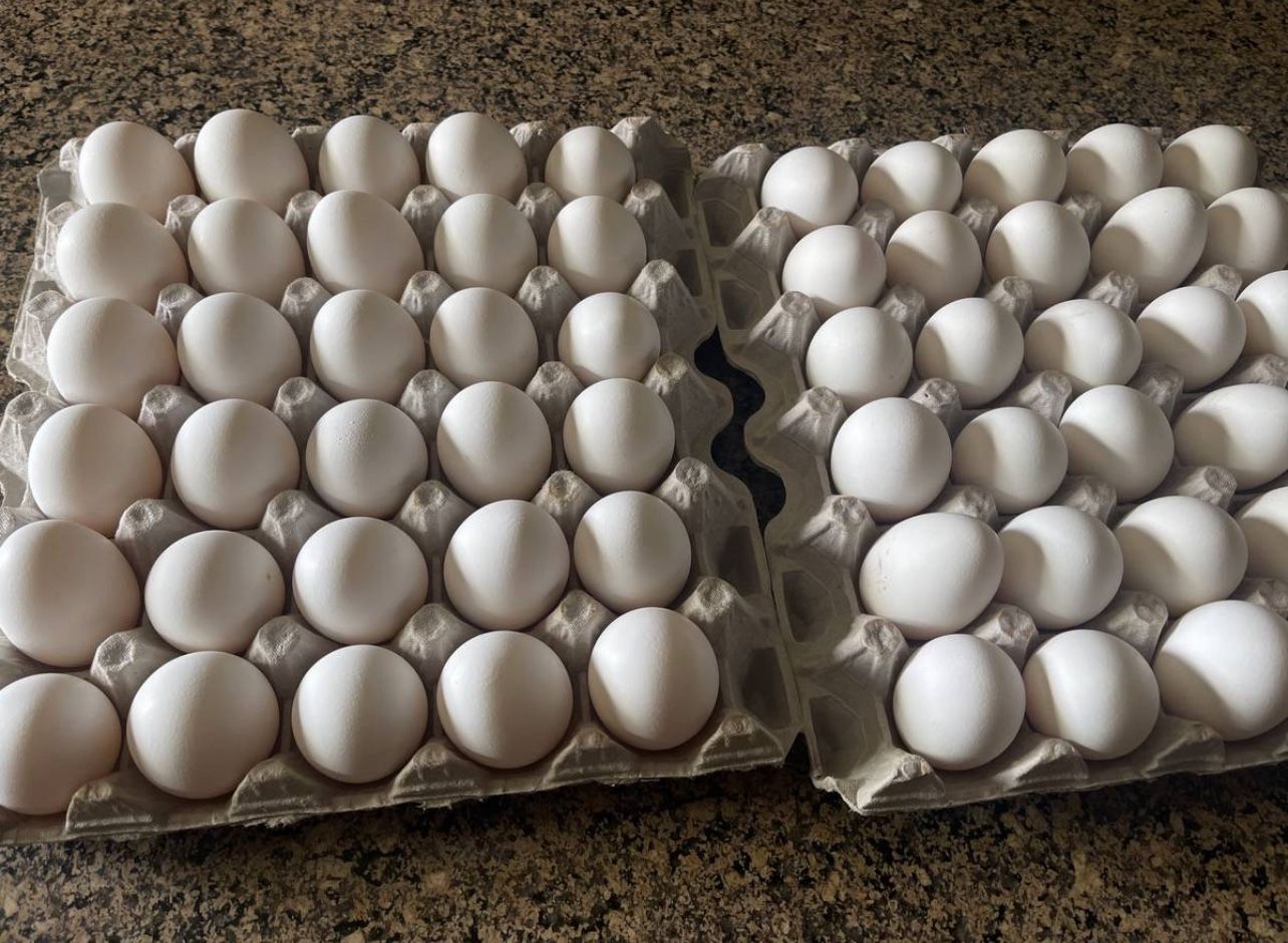 Pasture Free Eggs
