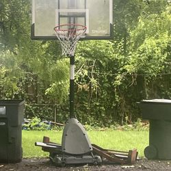 Basketball 🏀 Hoop