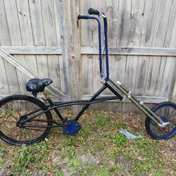 Lower Ride Bike With Single Springer