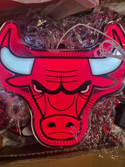 Bulls infinity light up