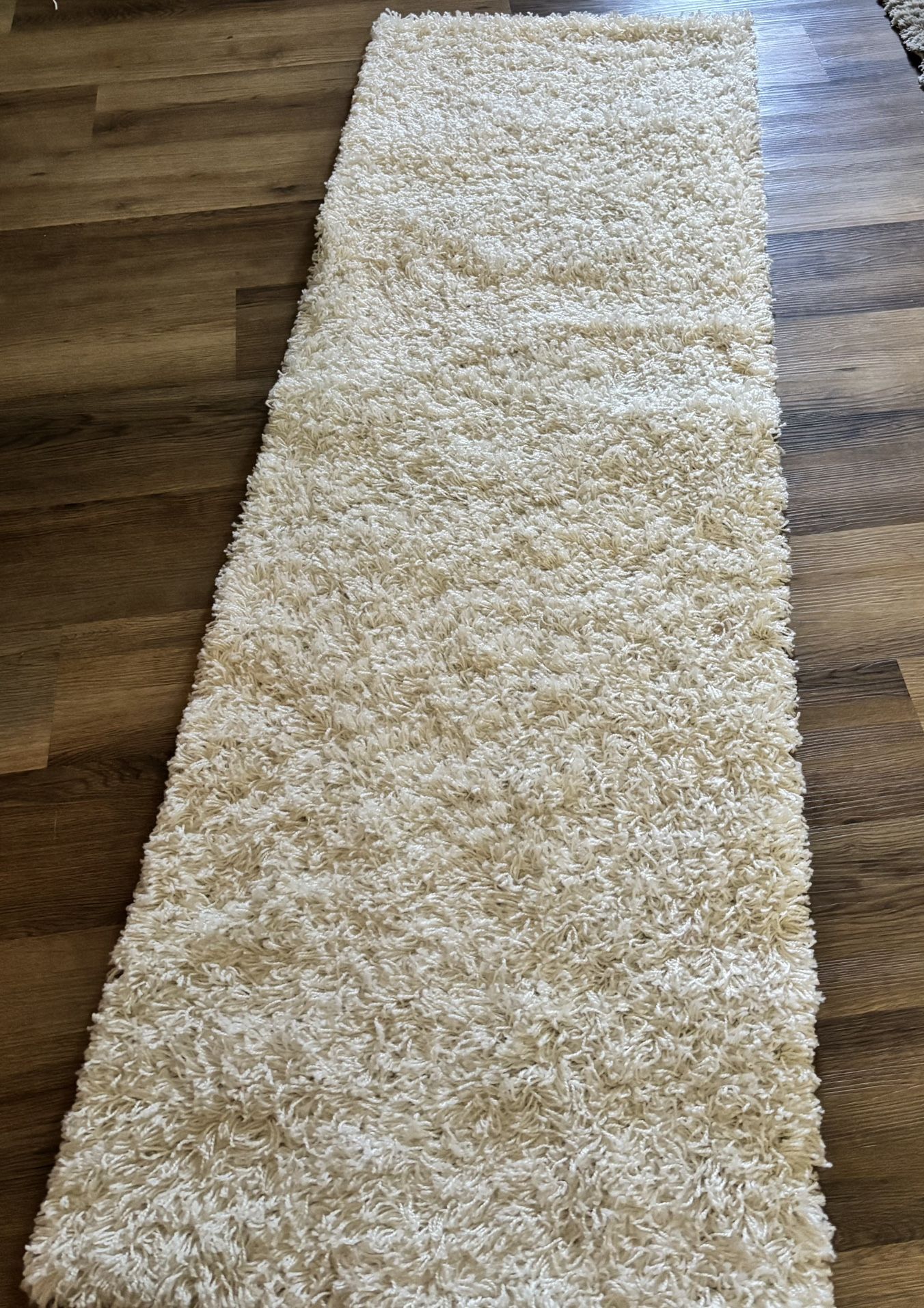 New Shag Runner