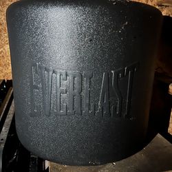 Everlast Punching Bag 