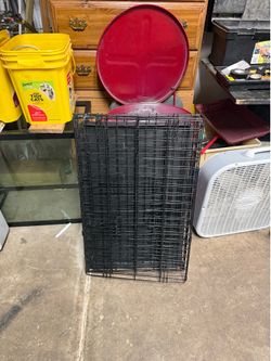 (19”-30”)animals kid