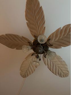 Beautiful fan light fixture