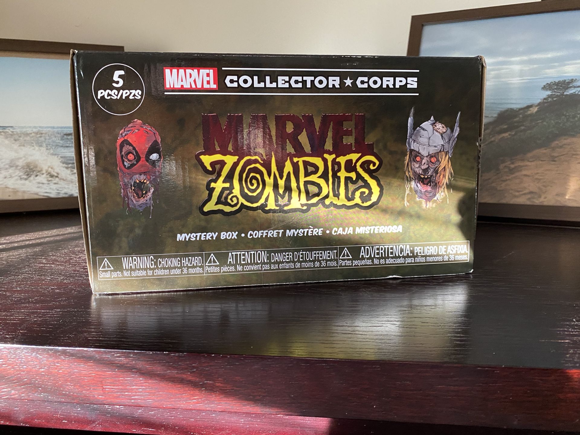 Marvel collector corps zombie box (Full size XL)
