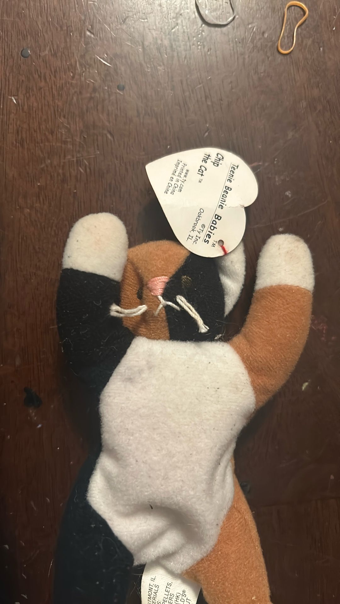 Chip The Cat Collectors Beanie Baby Error Tag
