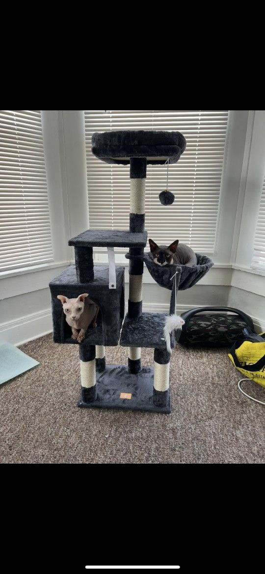 Cat Tree House For Sphynx