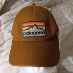 Patagonia line Logo Badge LoPro Trucker Hat
