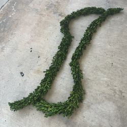 5ft Boxwood Garland