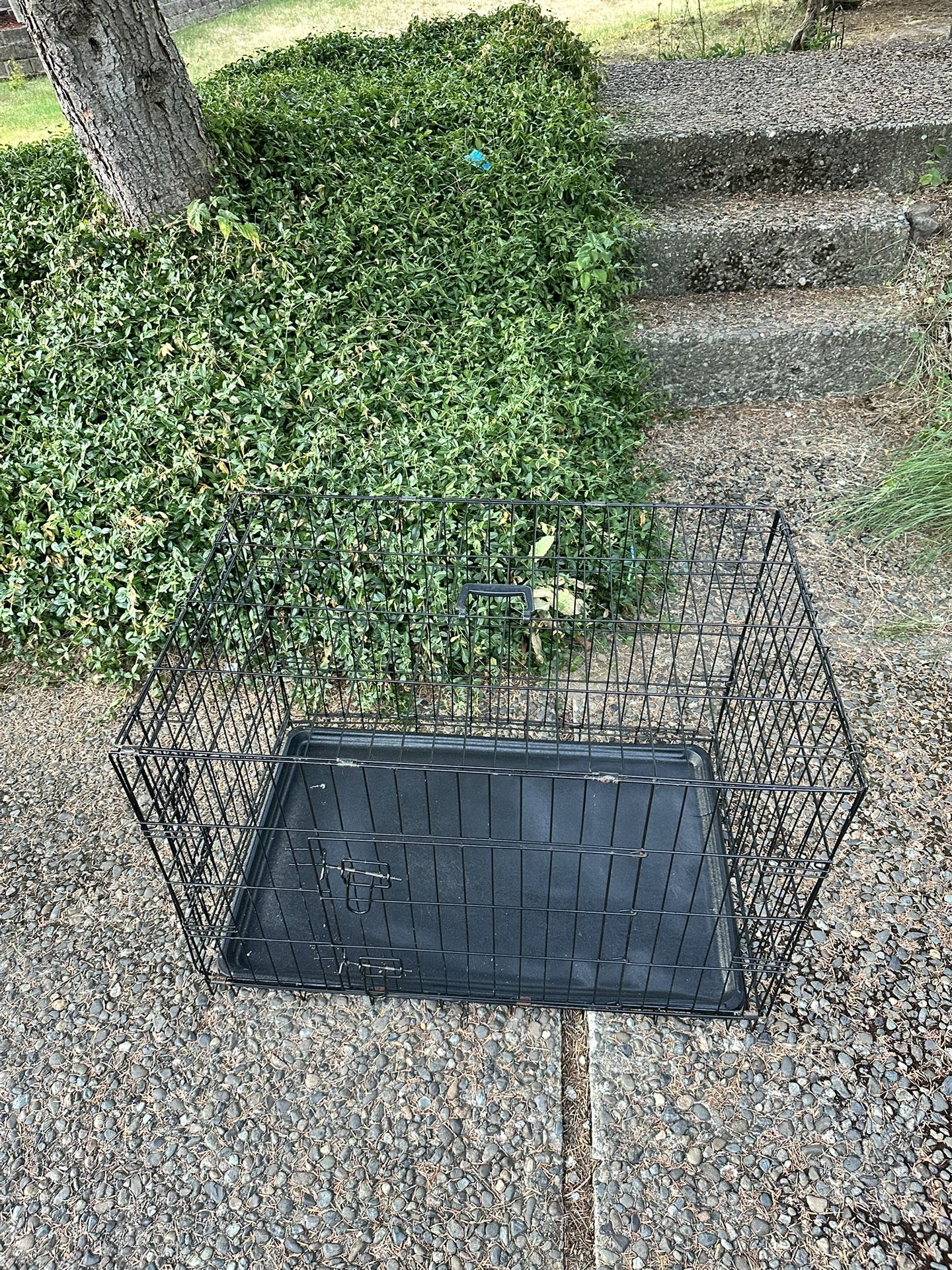 Folding dog cage 25in H x 22.5in D x 35in W