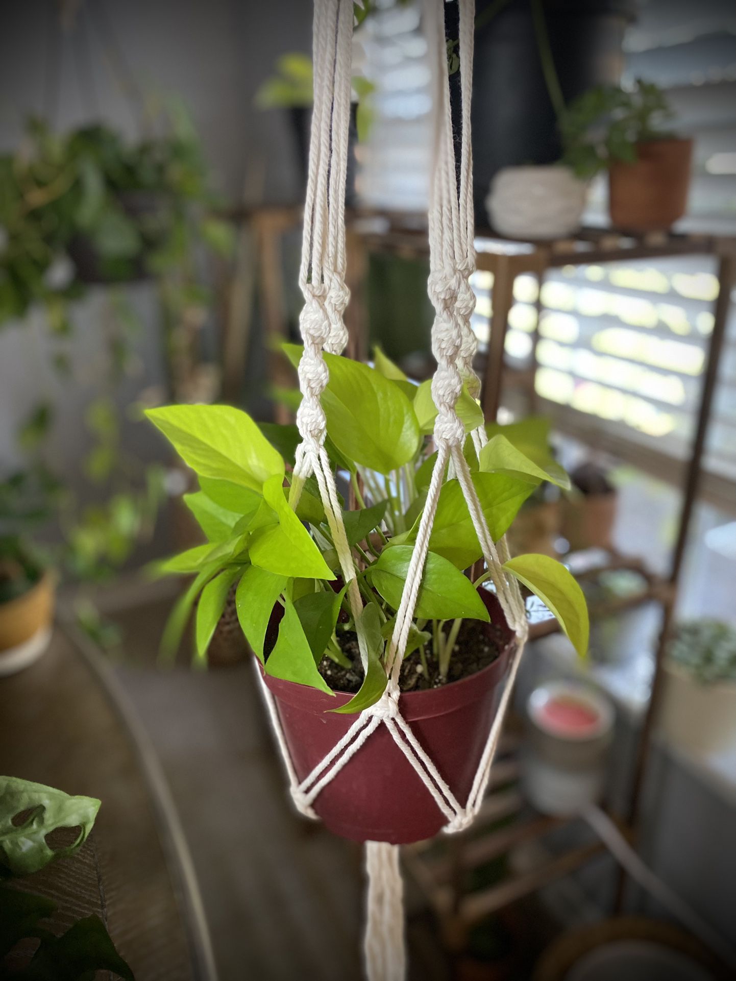 Plant Hanger, Macrame Adjustable Plant Hanger 