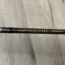 Penn Carnage 2 Spinning Rod - NEW