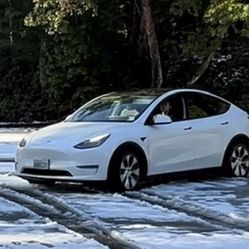 2020 Tesla Y Long Range All Wheel Drive 