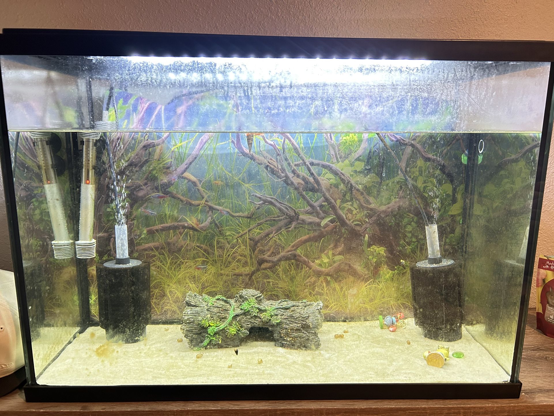 29 Gal fish tank 