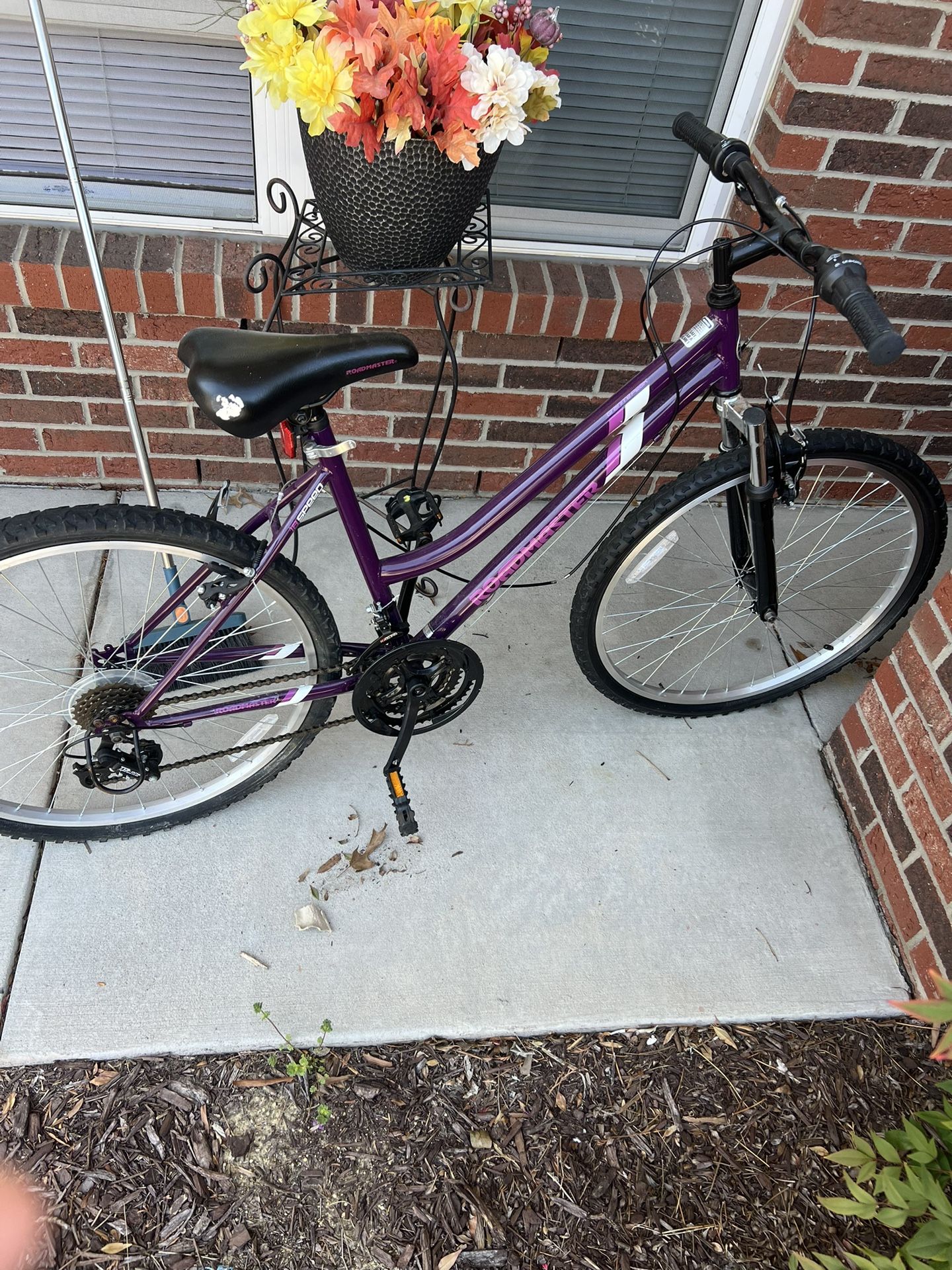 RoadMaster Bike