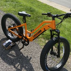 LEO GUAR Fastron ST Series 2 Fat Tire E-Bike 