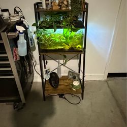 Fish tank and stand