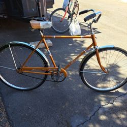Vintage swim.
Racer Two speed twenty six inch