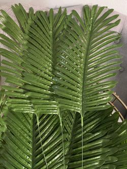 Leaves Decor